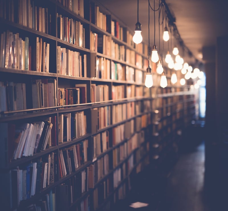 Future Knowledge Usage